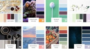 5 website độc nhất hỗ trợ phối màu cho Designer