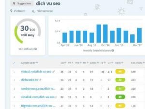 GTV SEO ở top 10 từ “dich vu SEO”.