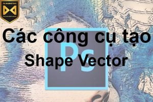 Các công cụ tạo Shape vector trong Photoshop
